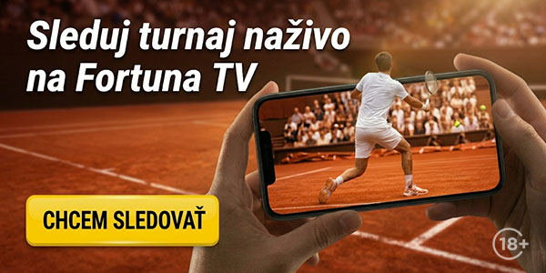 Sleduj priebeh zápasu naživo Sleduj priebeh zápasu naživo