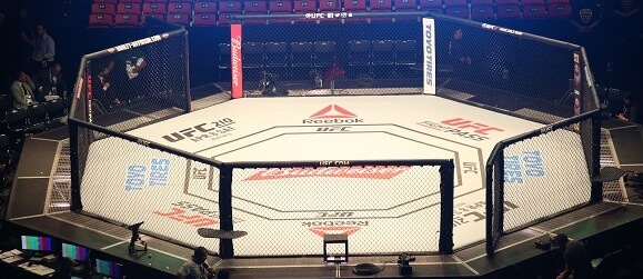 UFC Fight Night pred zápasom - Zdroj Cassiano Correia, Shutterstock.com
