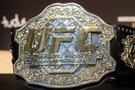 UFC pás - Zdroj Andre Luiz Moreira, Shutterstock.com
