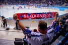 Hokej, fanúšik Slovenska - Zdroj kovop58, Shutterstock.com