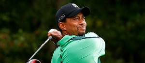 Golf, Tiger Woods - Zdroj Debby Wong, Shutterstock.com