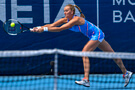 Petra Kvitová v Sydney obhajuje titul.