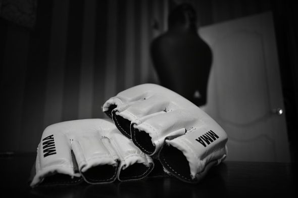MMA rukavice - Zdroj Pixabay.com