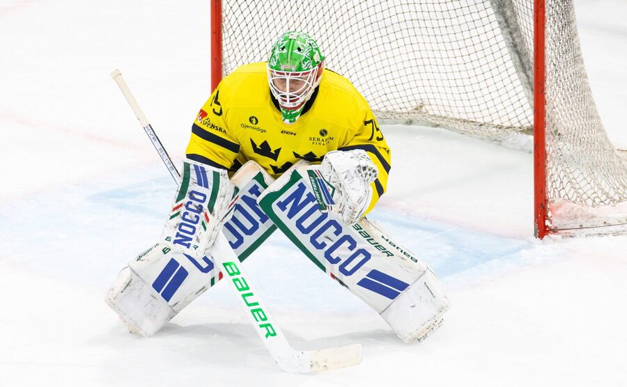 Brankár Švédska Arvid Holm