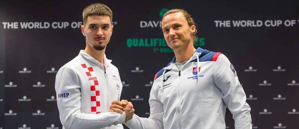 Dino Prižmič a Jozef Kovalík, Davis Cup 2025 (kvalifikácia)
