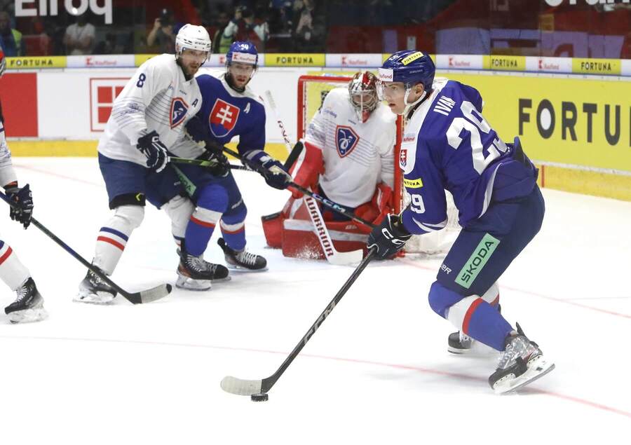 Na fotografii Slovák Michal Ivan v zápase proti Francúzsku.