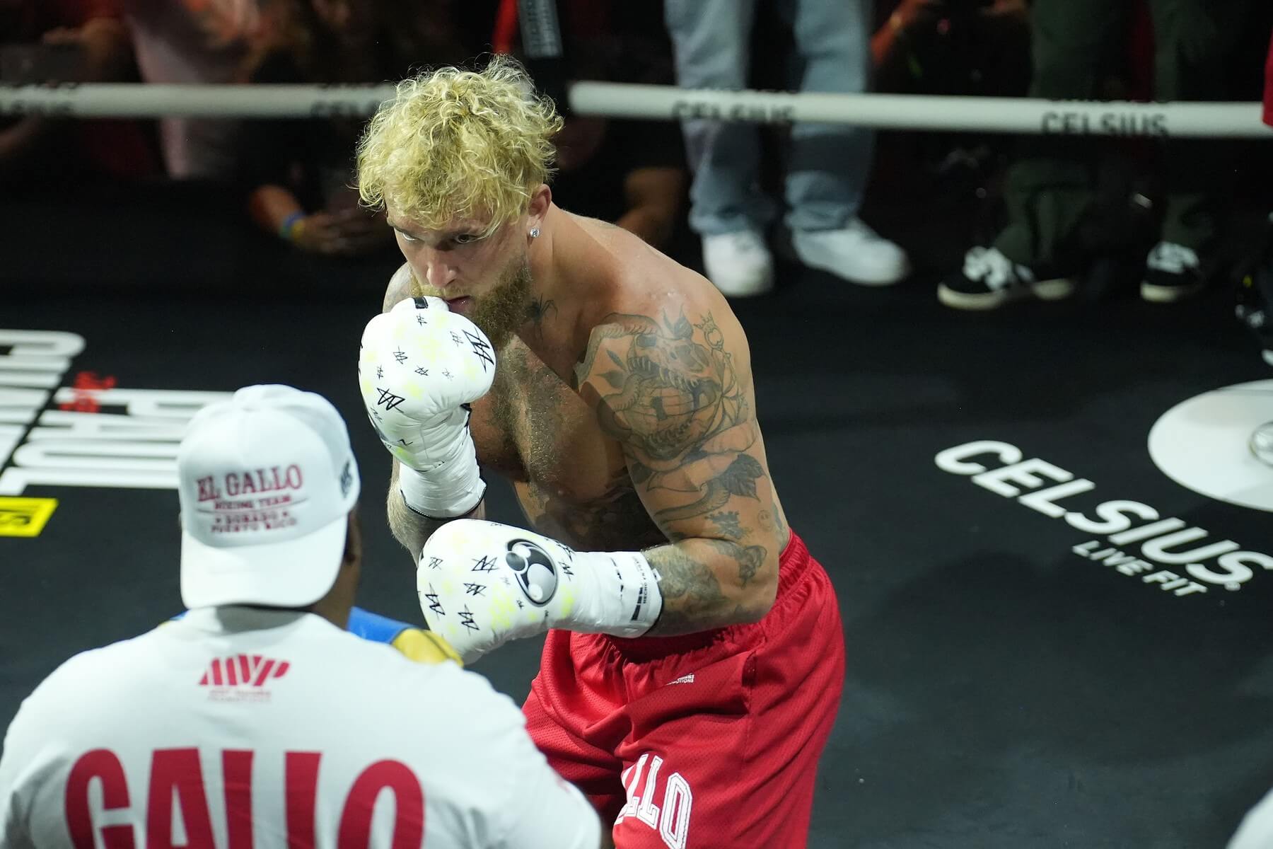 Jake Paul.