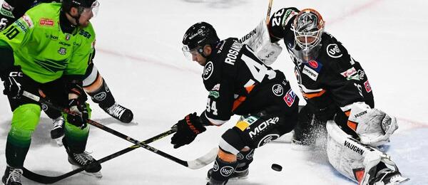 Vlci Žilina vs. HC Košice online