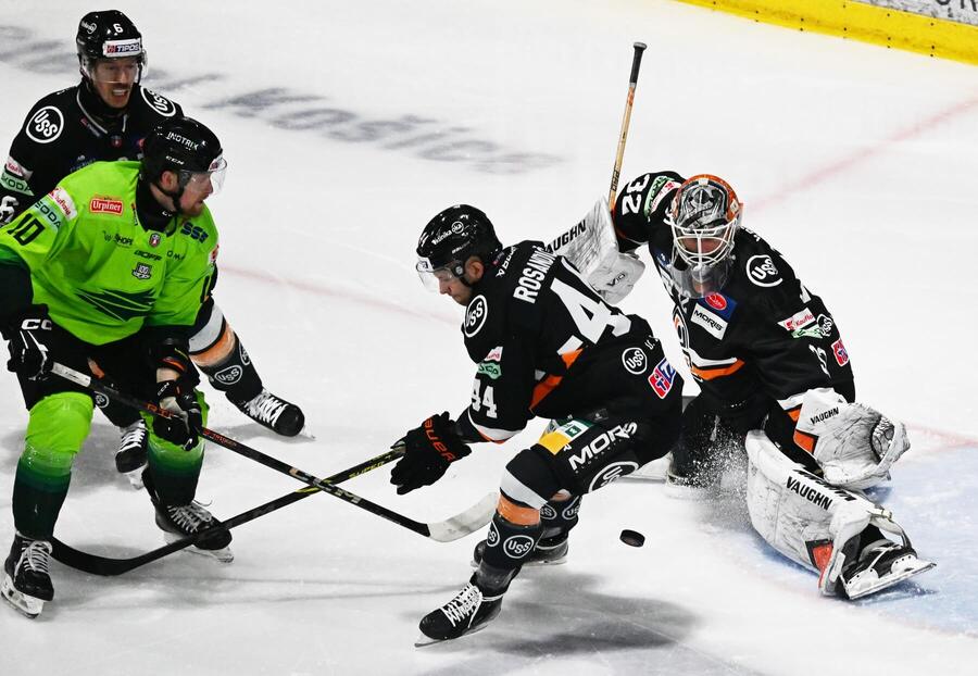 Vlci Žilina vs. HC Košice online