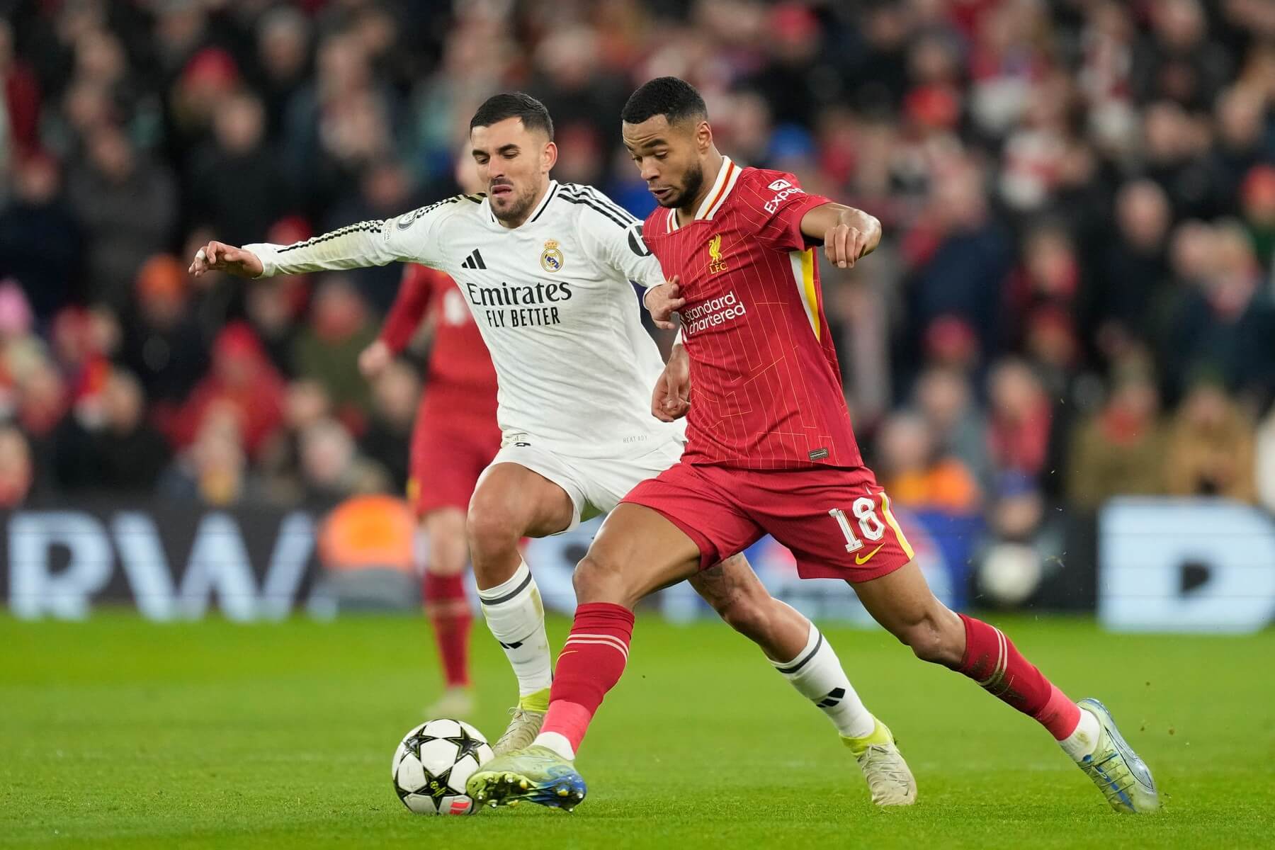 Záložník Realu Madrid Dani Ceballos (vľavo) a ľavý krídelník Liverpoolu Cody Gakpo v súboji o loptu počas zápasu Liverpool vs. Real Madrid v rámci 5. kola ligovej fázy Ligy majstrov UEFA 2024/2025