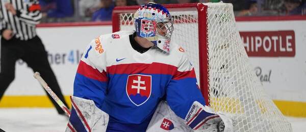 Michal Prádel, brankár Slovenska