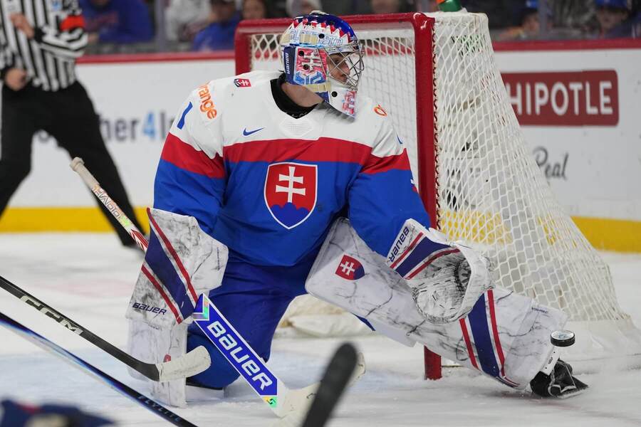 Michal Prádel, brankár Slovenska