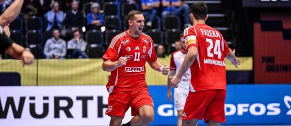 Hádzanári Poľska.