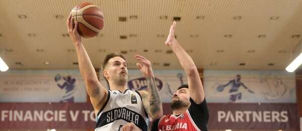 Mario Ihring (Slovensko vs. Albánsko)