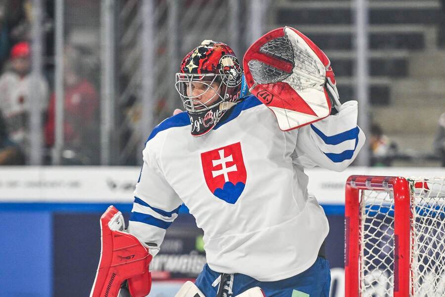 Eugen Rabčan, brankár, Slovensko, reprezentácia