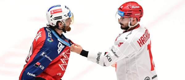 Pardubice vs. Třinec. Na fotke Lukáš Sedlák (Pardubice) a Patrik Hrehorčák (Třinec).