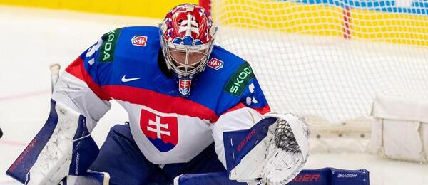 Samuel Hlavaj, opora slovenskej hokejovej reprezentácie