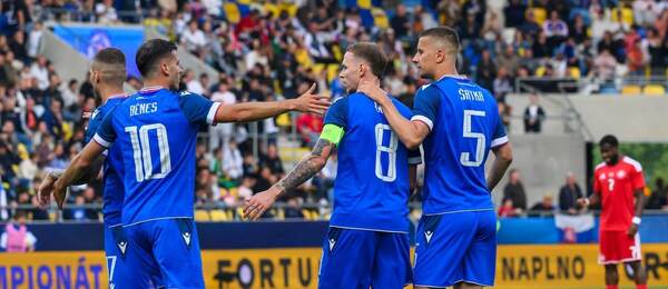Futbalisti Slovenska.
