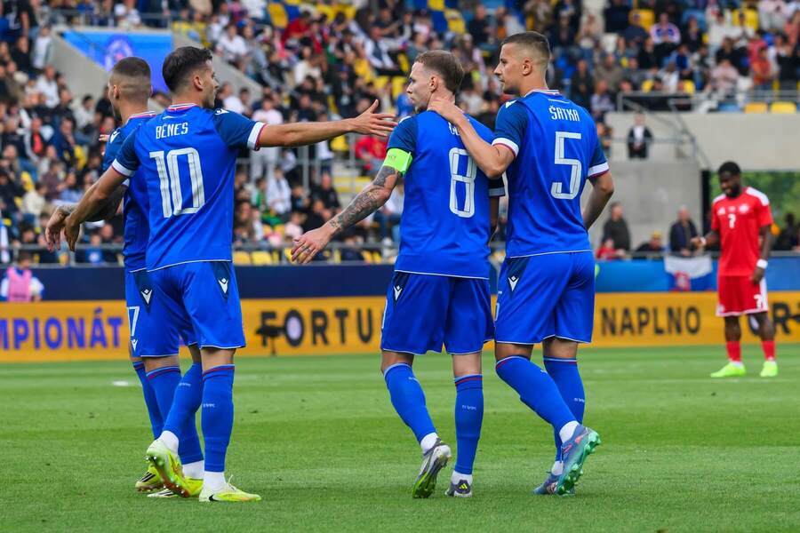 Futbalisti Slovenska.